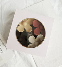 Load image into Gallery viewer, 4 Hair Clips In A Box - Set 2