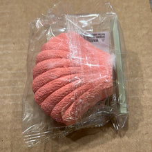 Load image into Gallery viewer, Sale! Toy - Mermaids - Discovery Stone Shell With Chisel