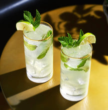 Load image into Gallery viewer, Glass HighBall Glasses - 16oz.
