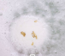 Load image into Gallery viewer, Oatmeal Milk Honey Bath Bomb